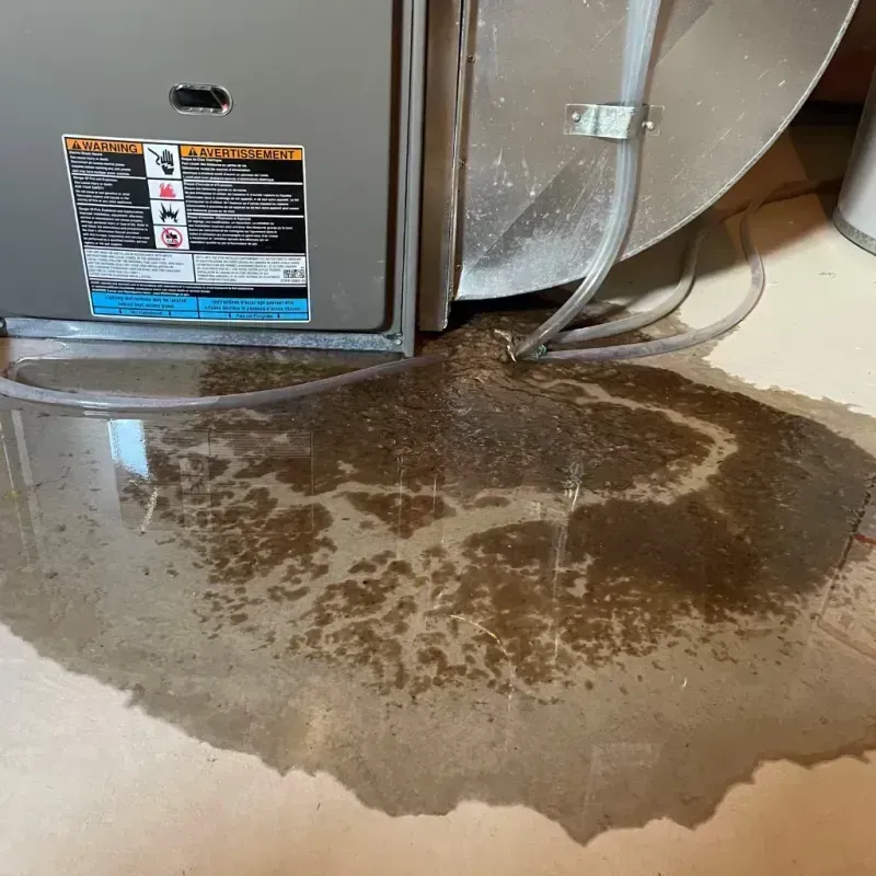 Appliance Leak Cleanup in Madison, FL